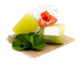 Tea Tree Fenil for Guru